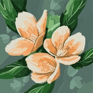 Meet your Posher, Daya